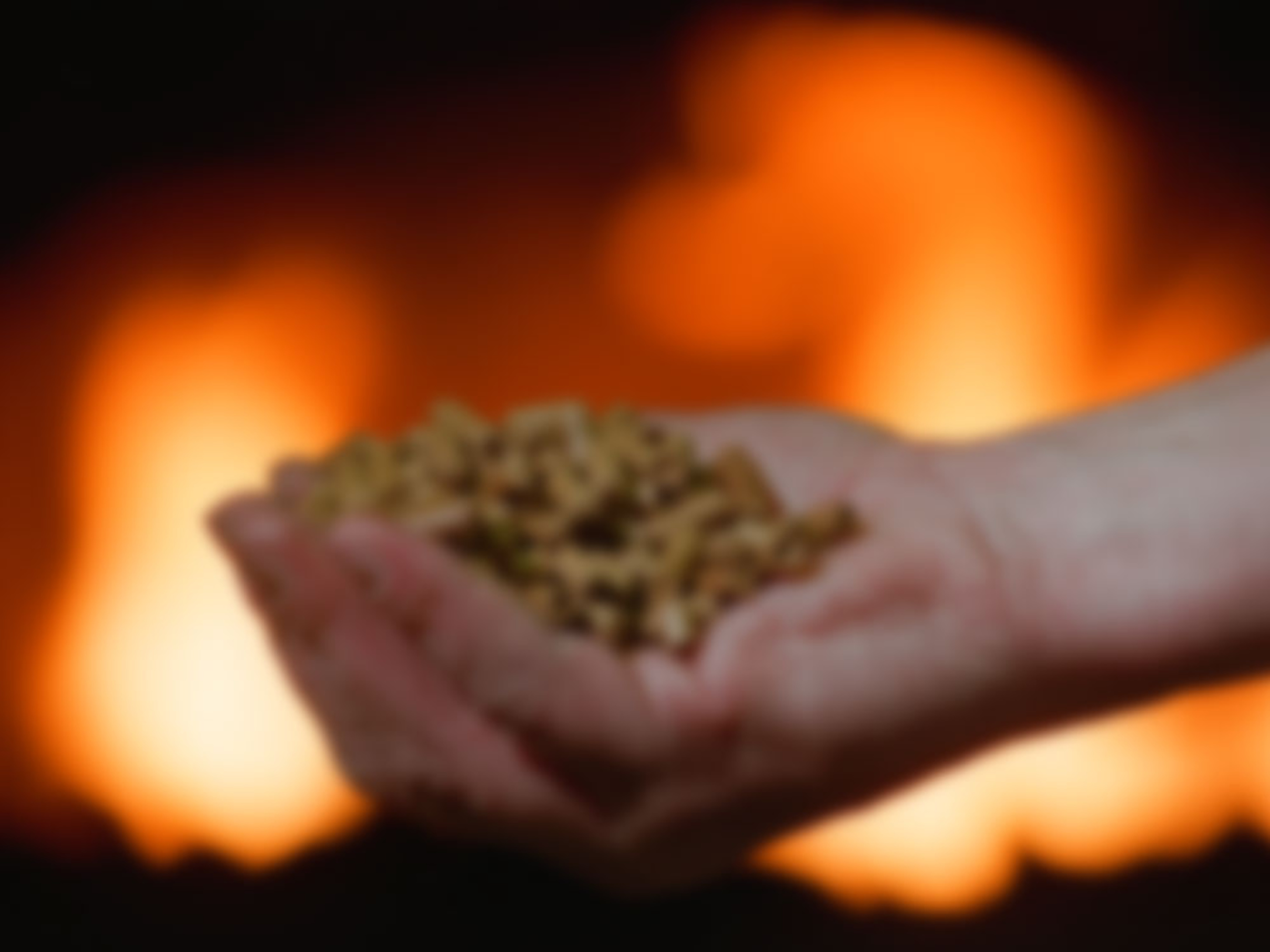 Hackschnitzelheizung bei Muster Elektro in Musterstadt